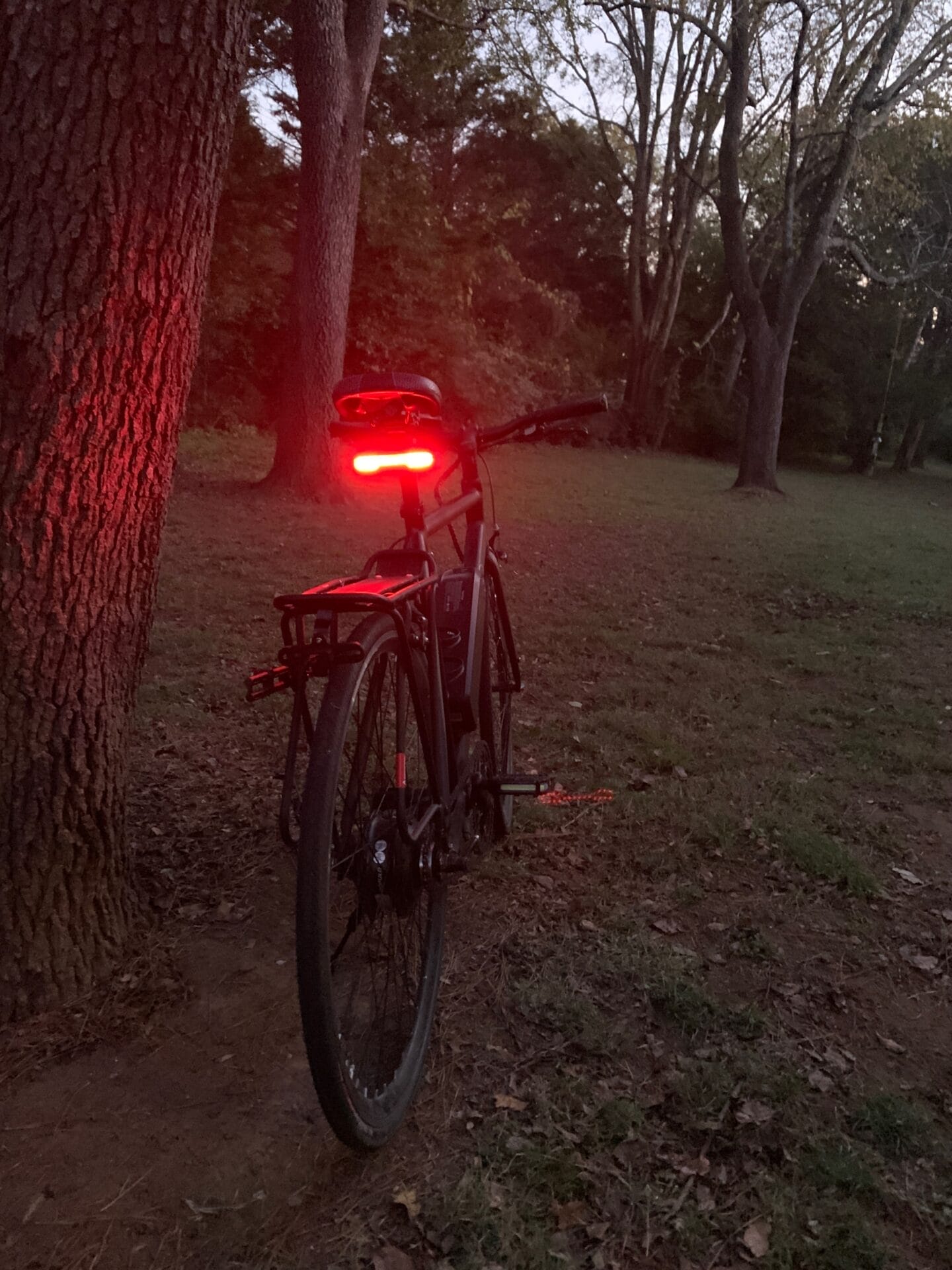 rear of bike with taillight on