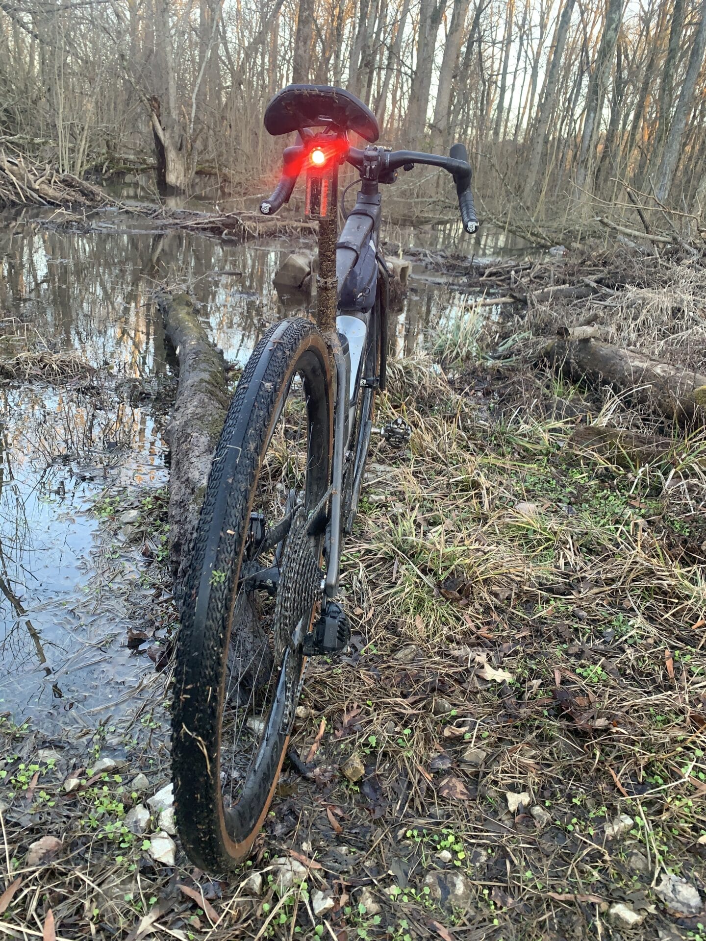 SEEMEE R300 on the gravel bike in the swamp