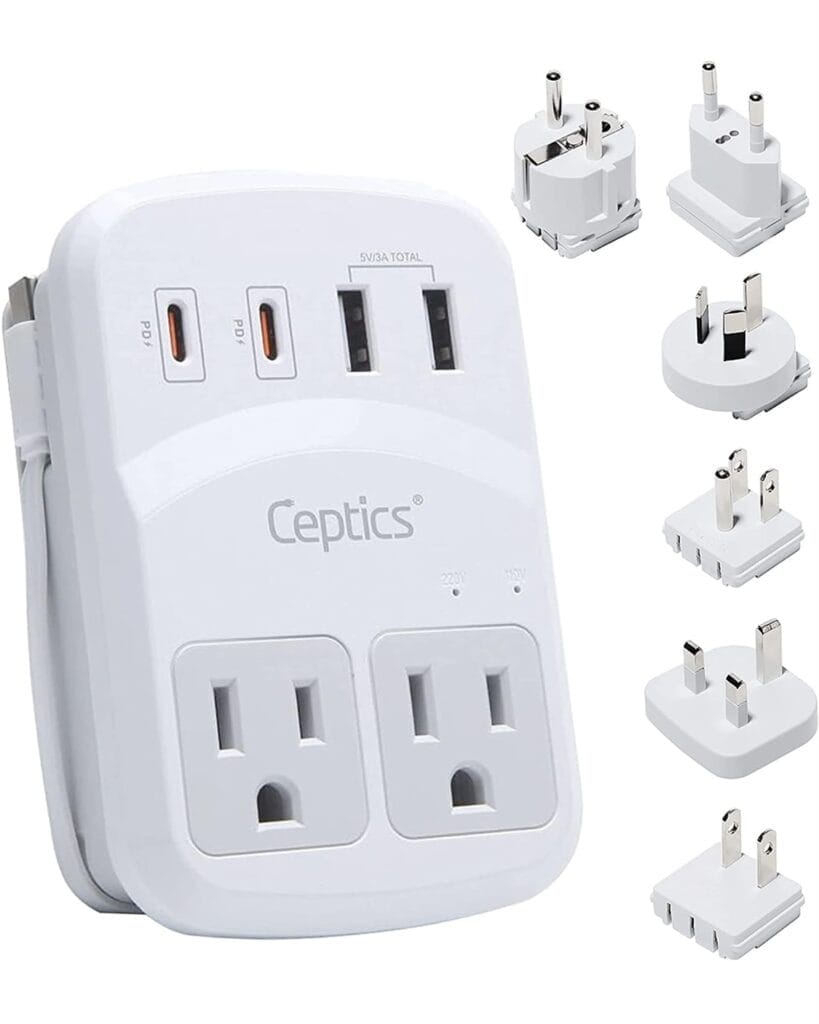 Ceptics Travel Plug