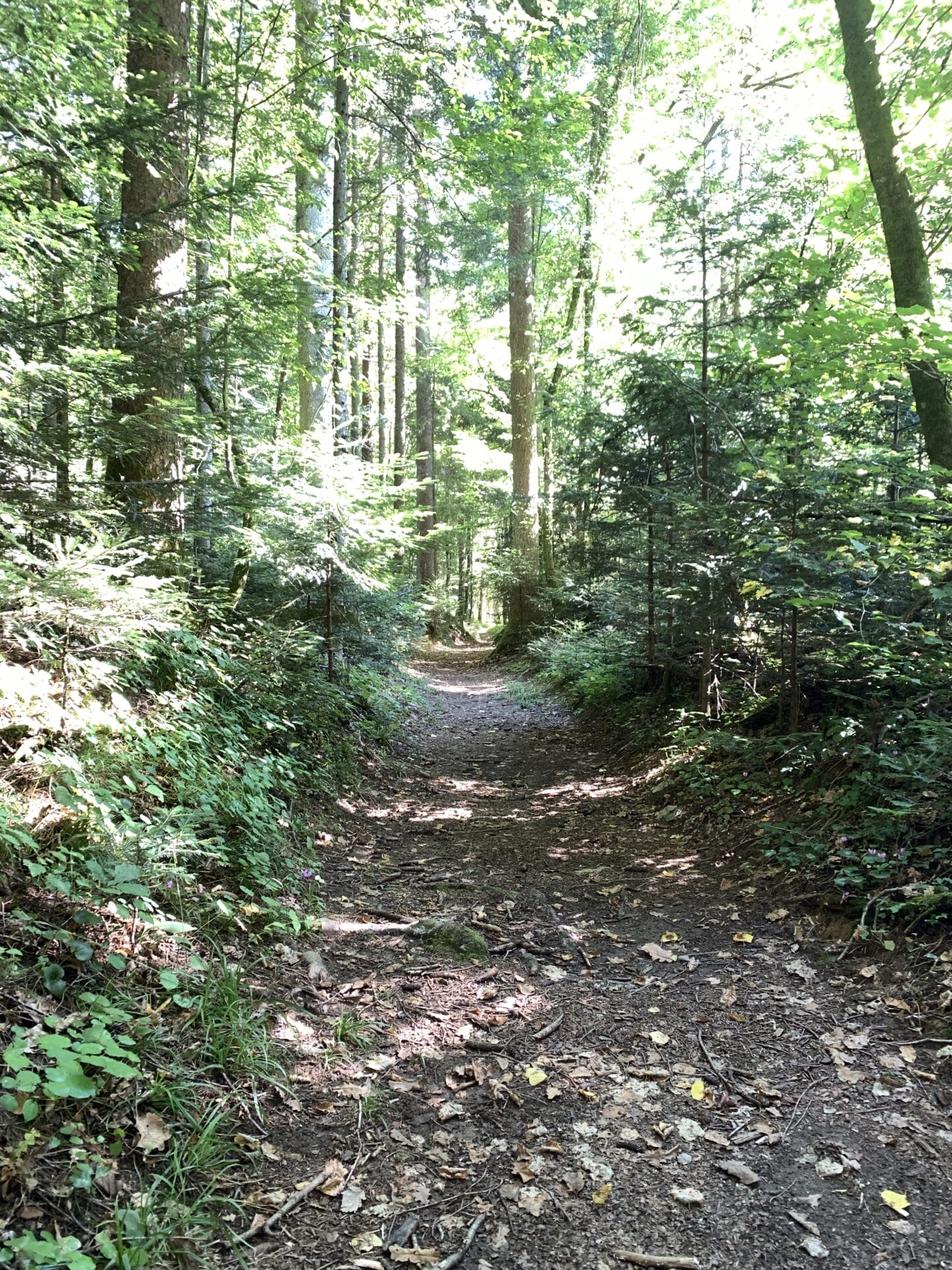Krupa Trail in Bela Krajina