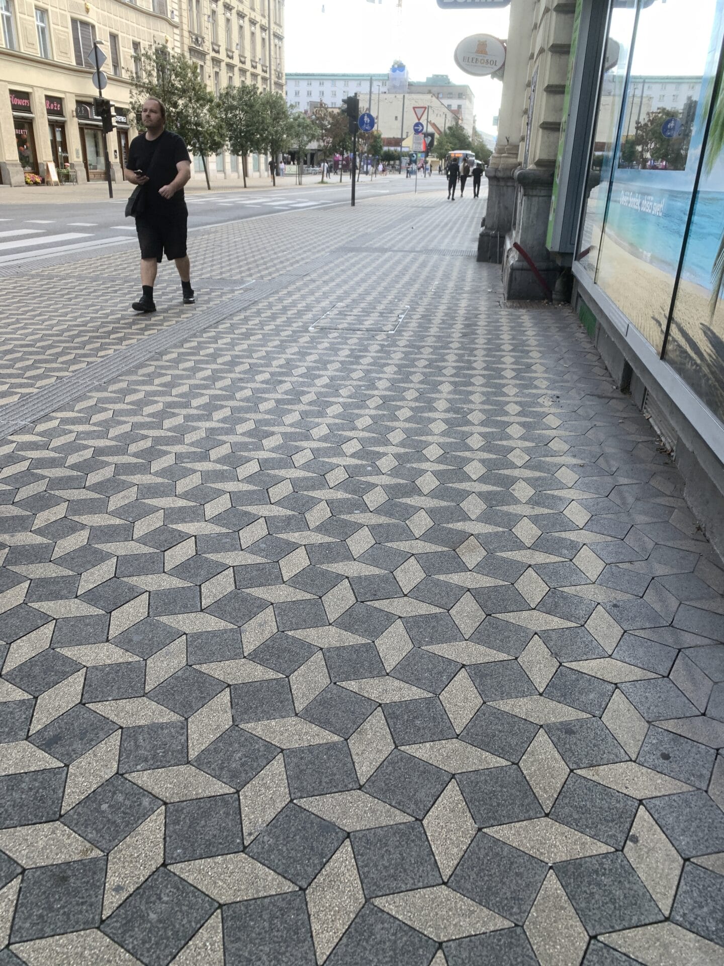 Ljubljana Pavers
