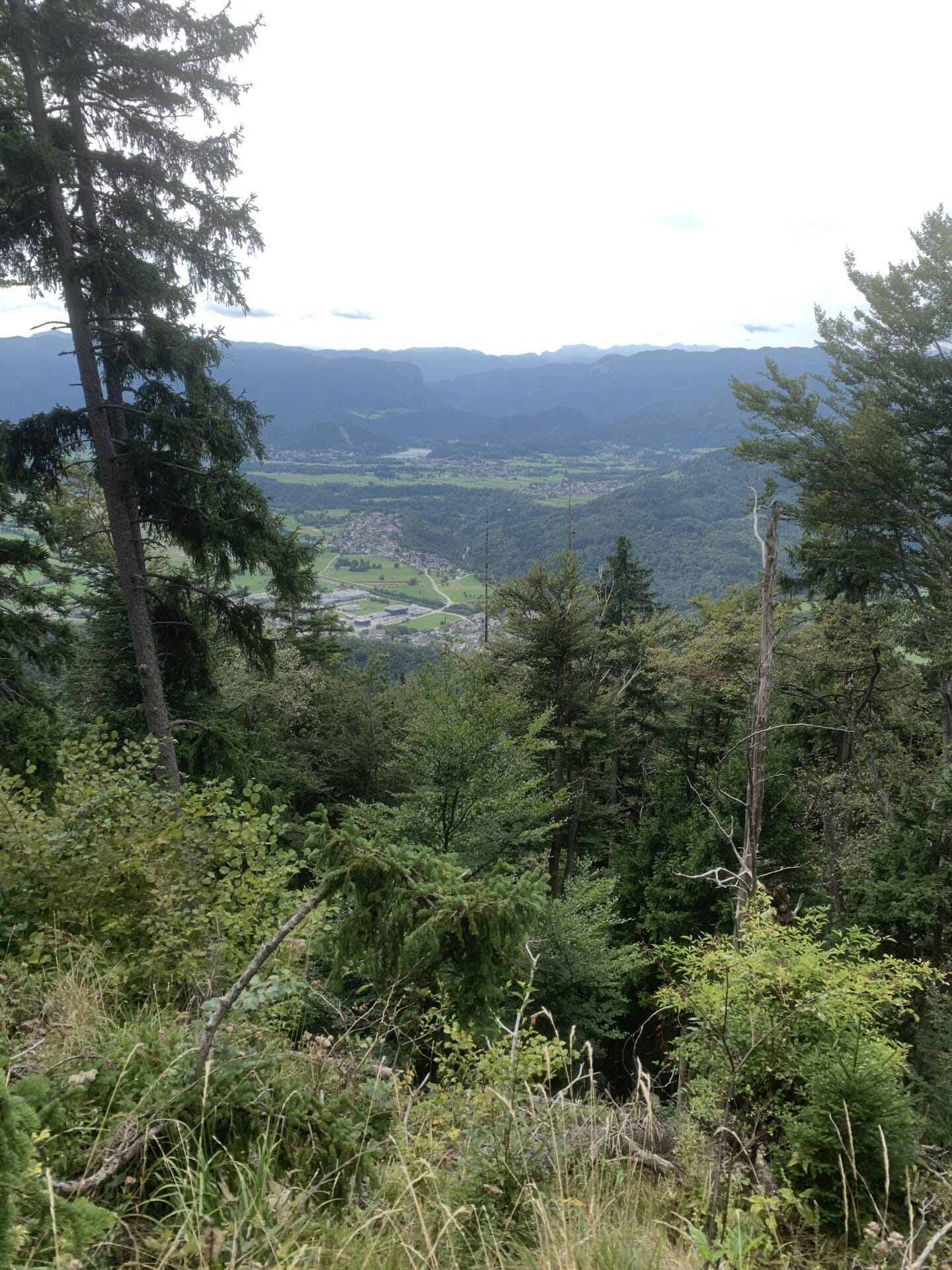 Looking over to lake bled from trail
