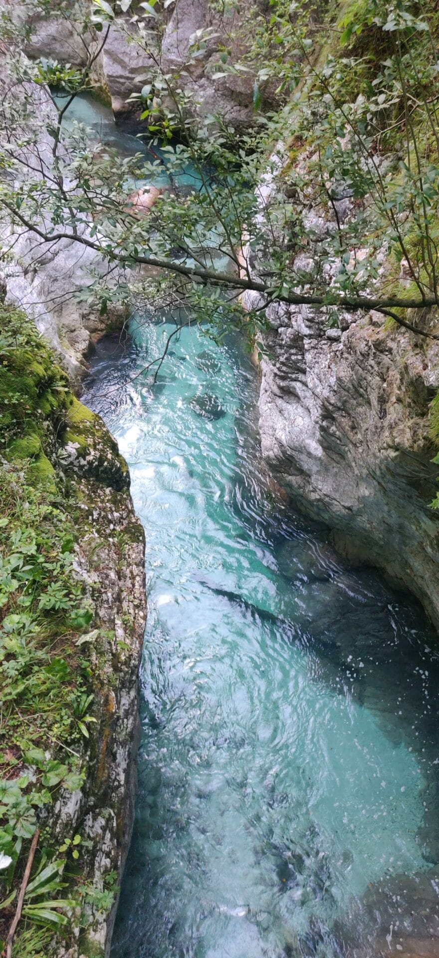 IMG_20250908_153519_Original