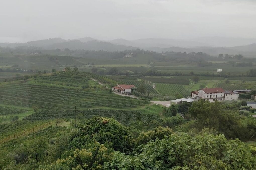 brda Slovenia wine tasting