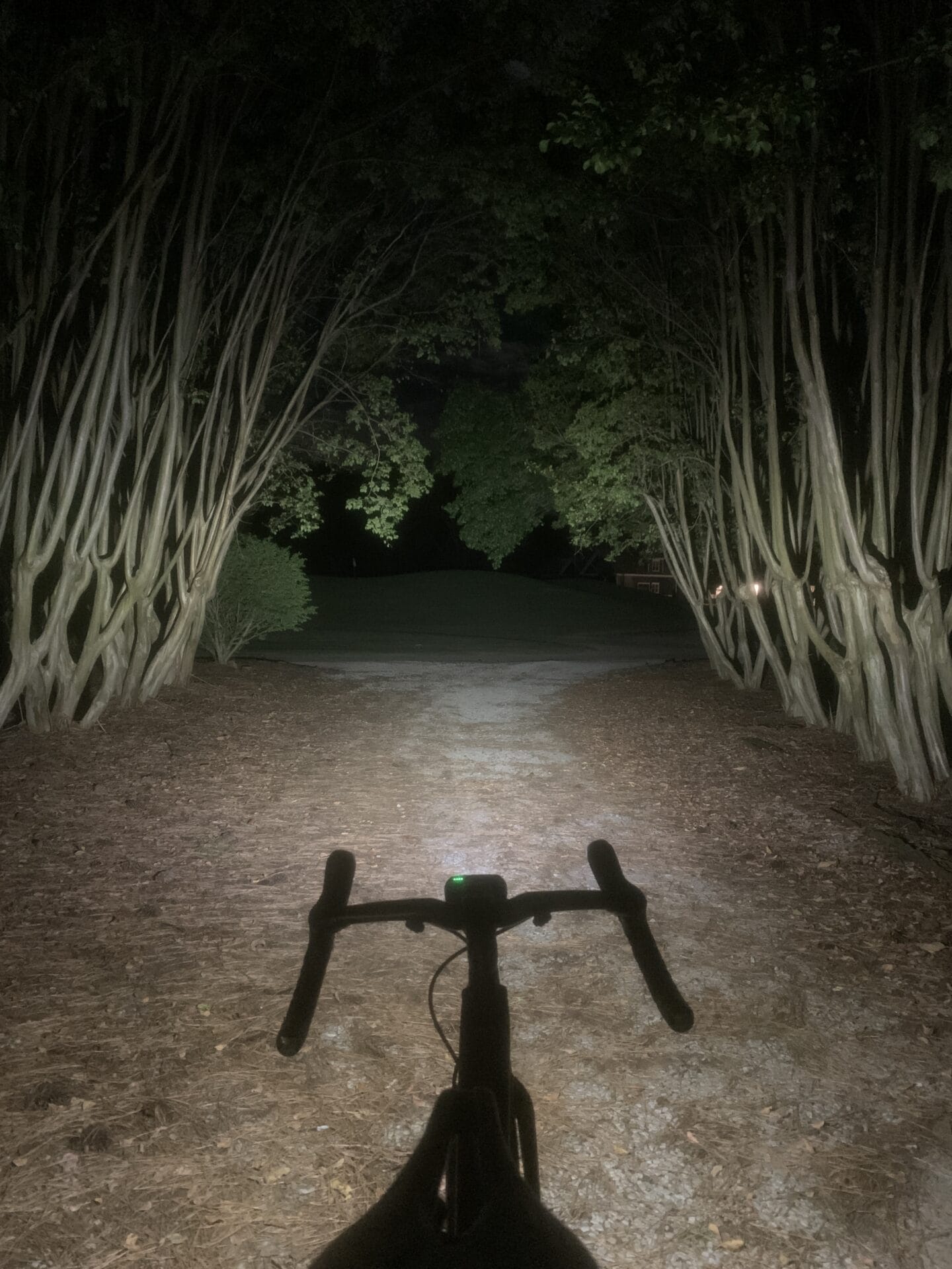 Trail Evo Medium Mode