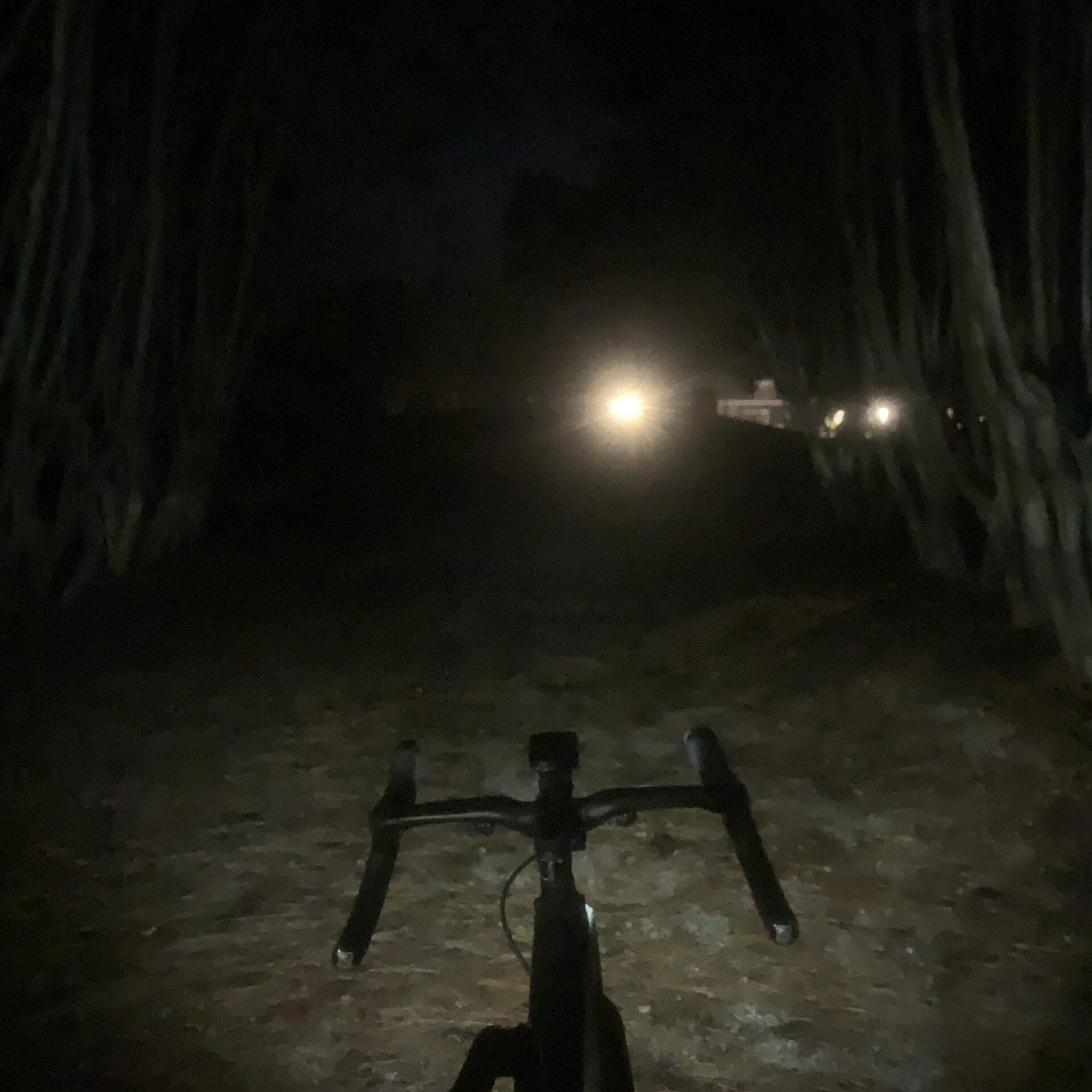 Hori 900 DRL mode in tree tunnel