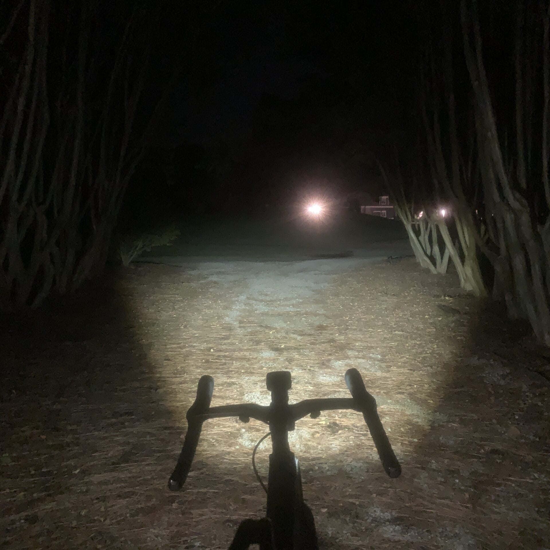 hori 900 mid mode in tree tunnel