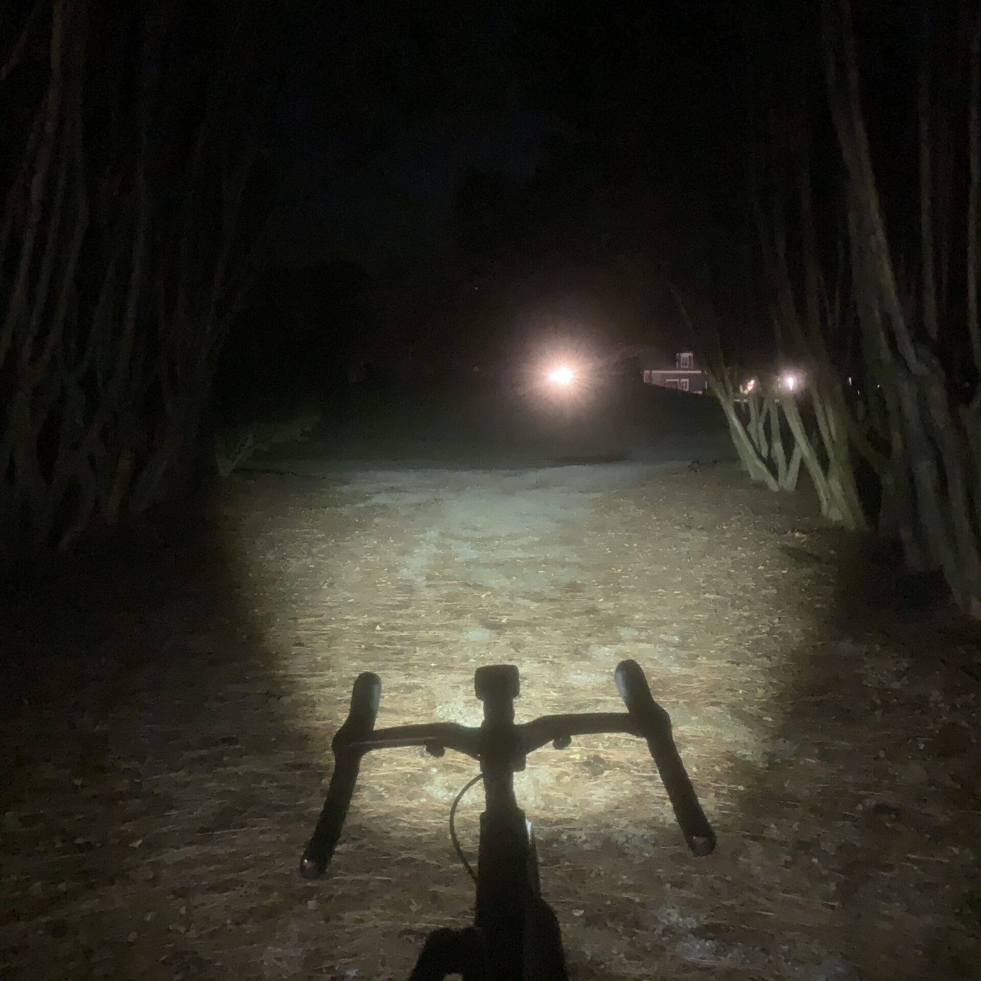 Hori 900 in low mode in tree tunnel