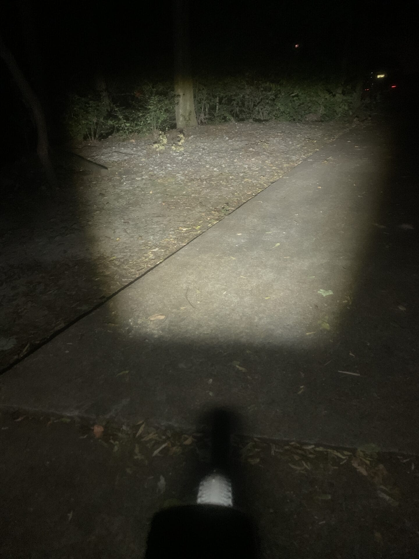 MS Hori 900 oriented in the prober upright direction.