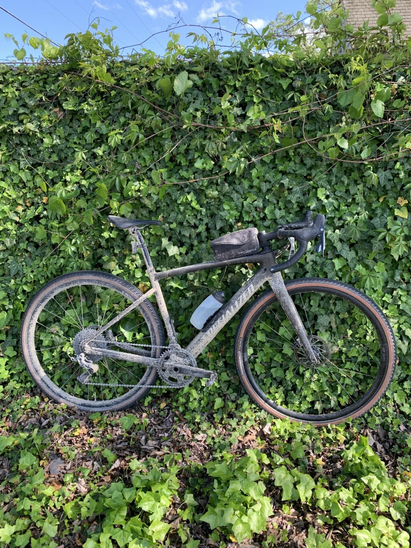 view of gravel bike with shrub wall in background