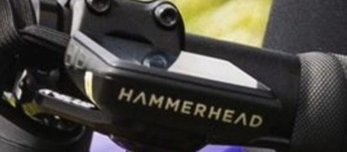 Hammerhead Karoo 3